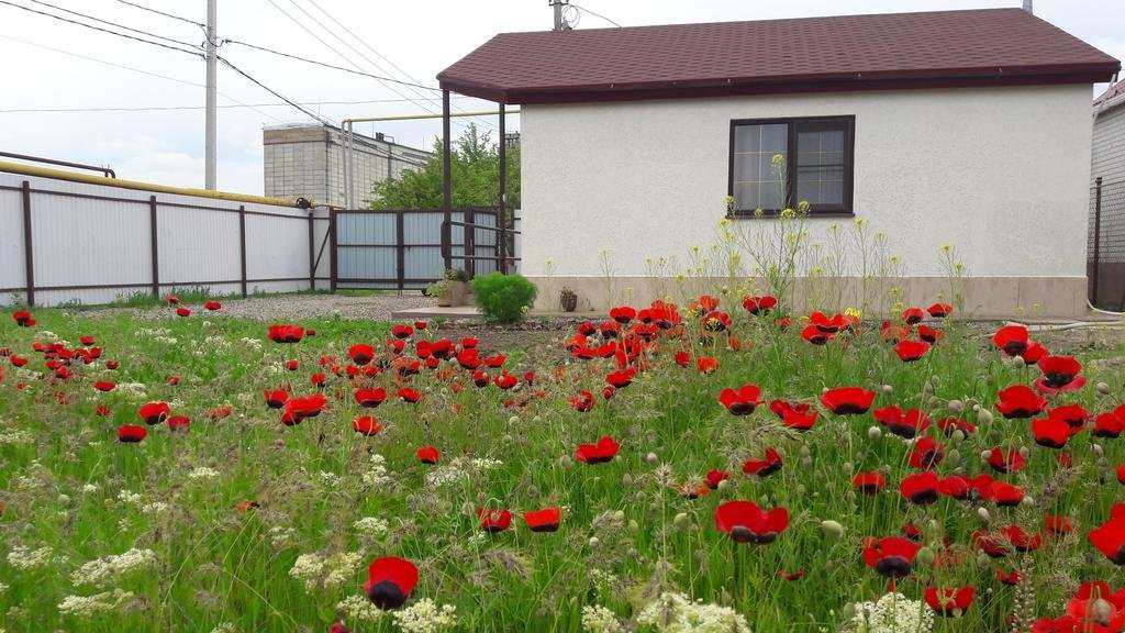 Гостиница Guest House Na Svetloy Будённовск